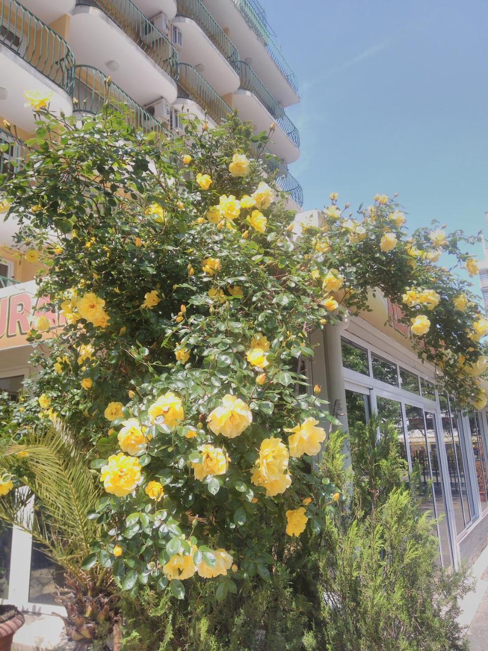 Hotel Yantra Pantai Sunny Bagian luar foto